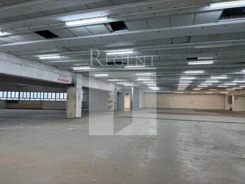 TAI PING INDUSTRIAL PARK (太平工业园)