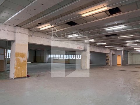 TAI PING INDUSTRIAL PARK (太平工业园)-C0573286