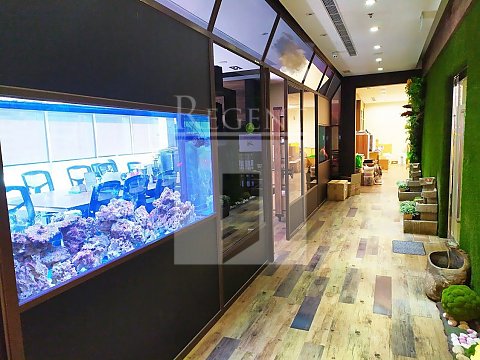 KING PALACE PLAZA (皇廷廣場)-RGP031967