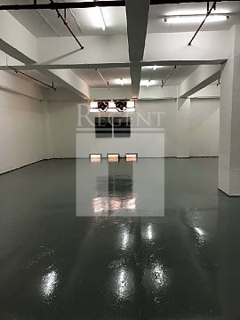 Pak Sik Godown No.1 (百適第一貨倉)-RGP024953