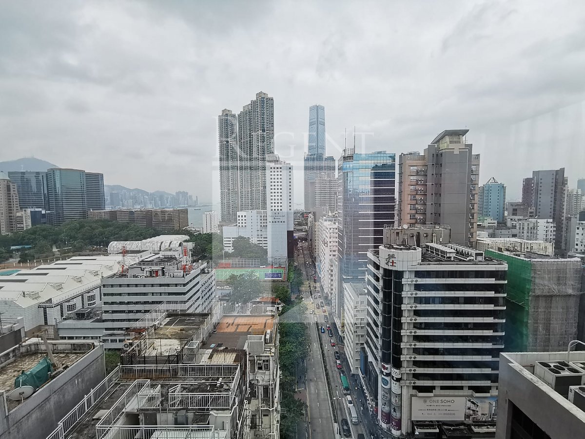 102 Austin Road (柯士甸道102号)-RGP024480