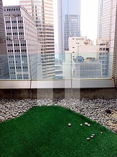 CHE SAN BUILDING (致生大厦)-RGP012237