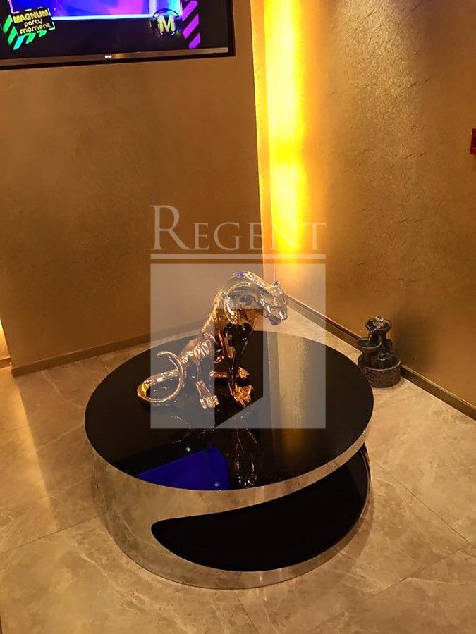 SILVER FORTUNE PLAZA (荊威廣場)-RGP010989