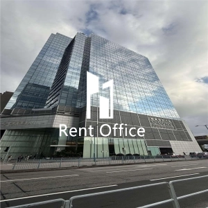 丝宝国际大厦-0