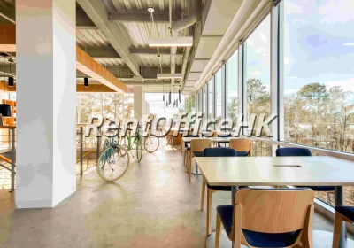 青树公园-北京服务式办公室