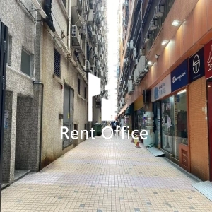 駱駝漆大廈第三座-3